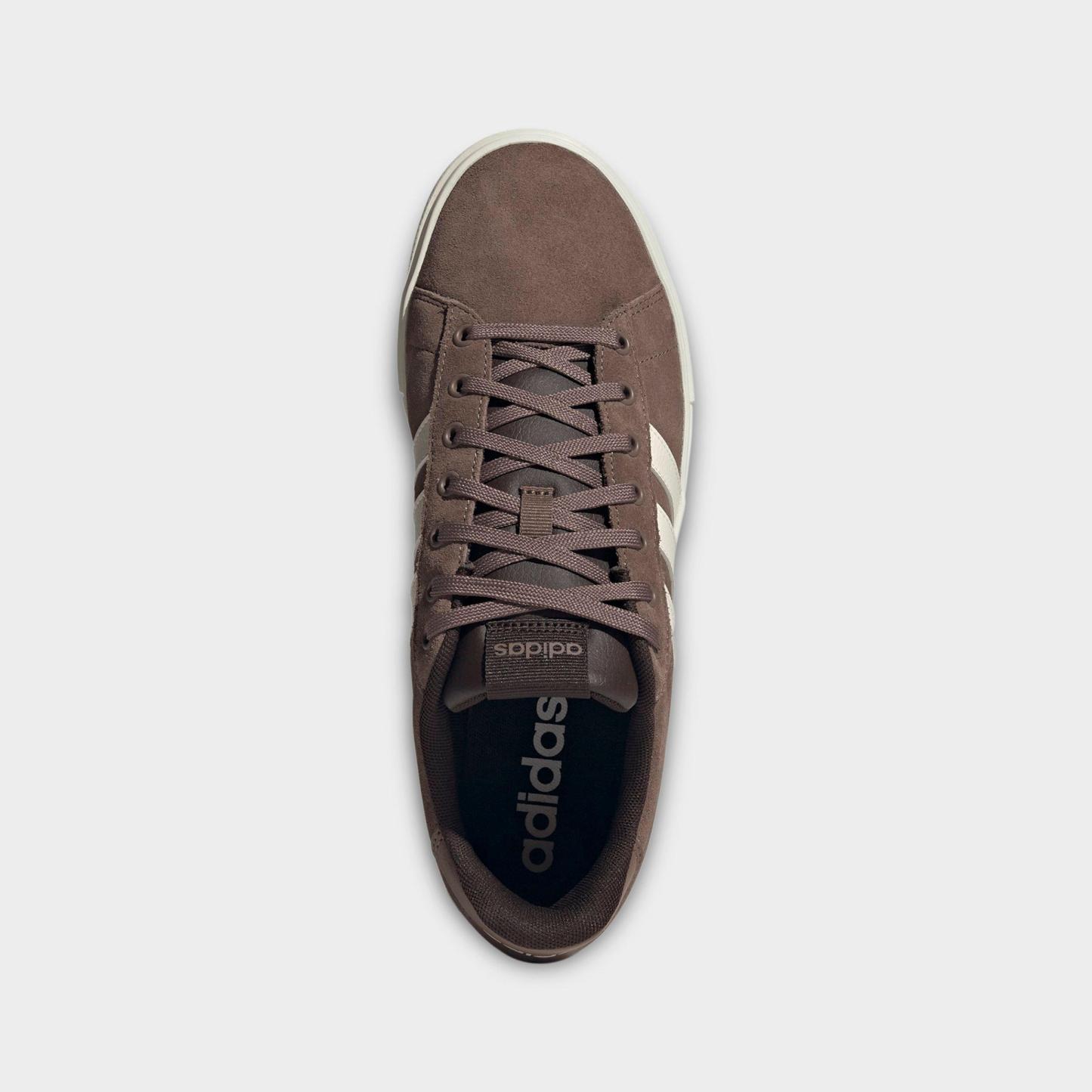 Men's adidas Daily 4.0 Casual Shoes (Big Kids' Sizes Available) - Part 1 - Earth Strata/Off White/Aurora Coffee - Top view