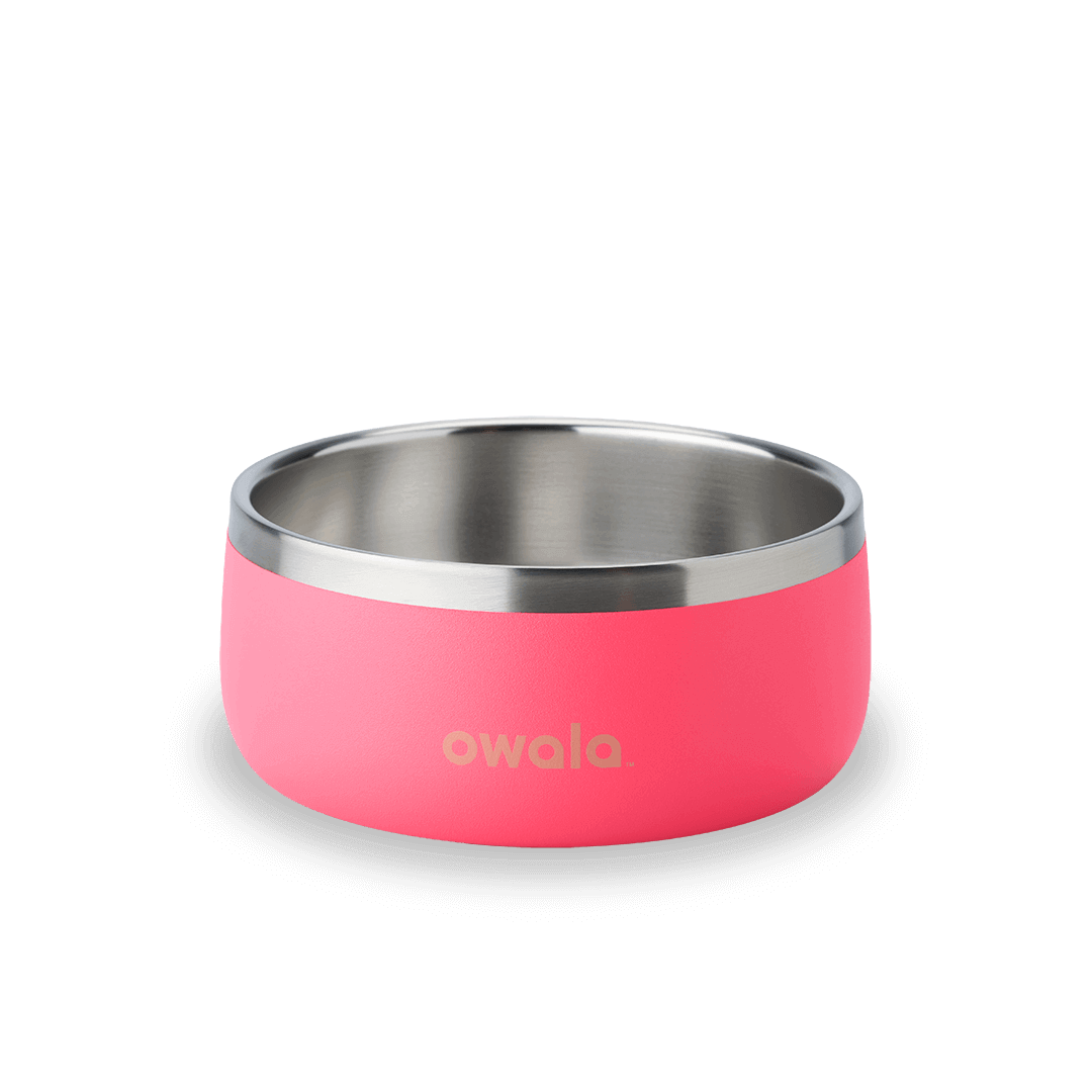 Pet Bowl - Hyper Flamingo · 3 cups