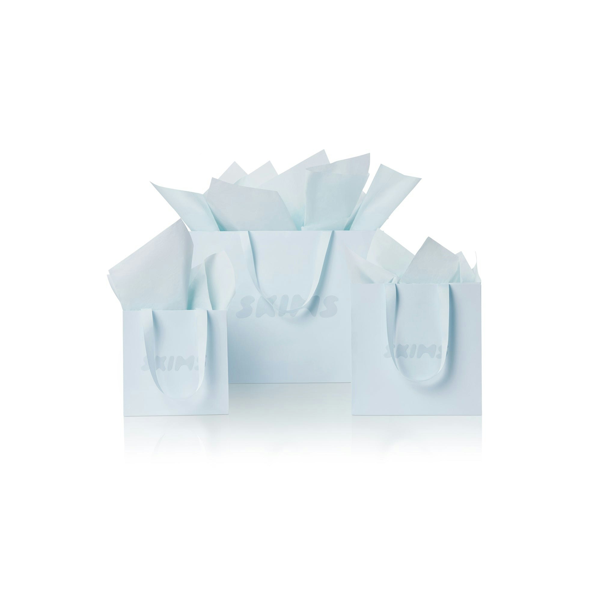 GIFT BAG - BABY BLUE