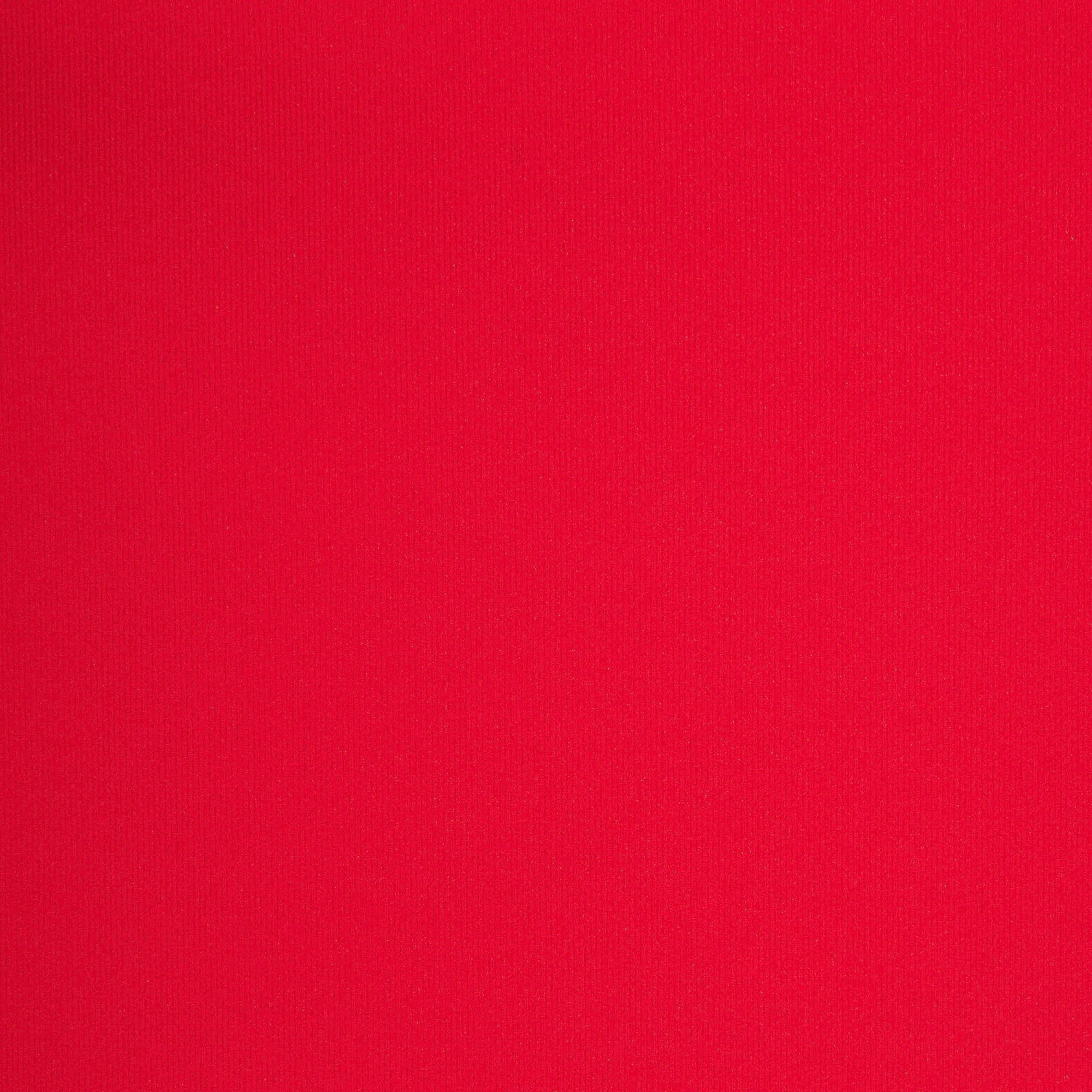 FITS EVERYBODY T-SHIRT - CHERRY - image 10