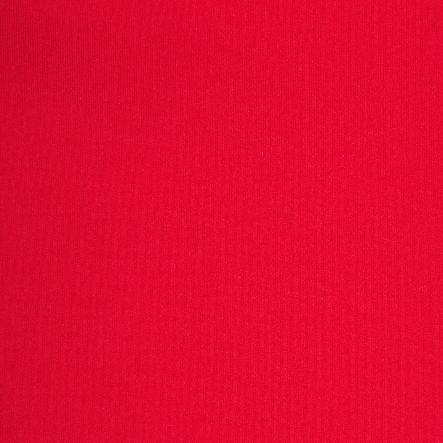 FITS EVERYBODY T-SHIRT - CHERRY - image 10