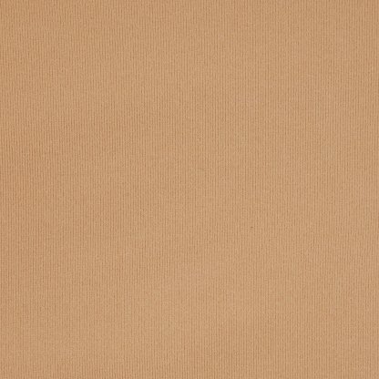 FITS EVERYBODY BOY SHORT - OCHRE