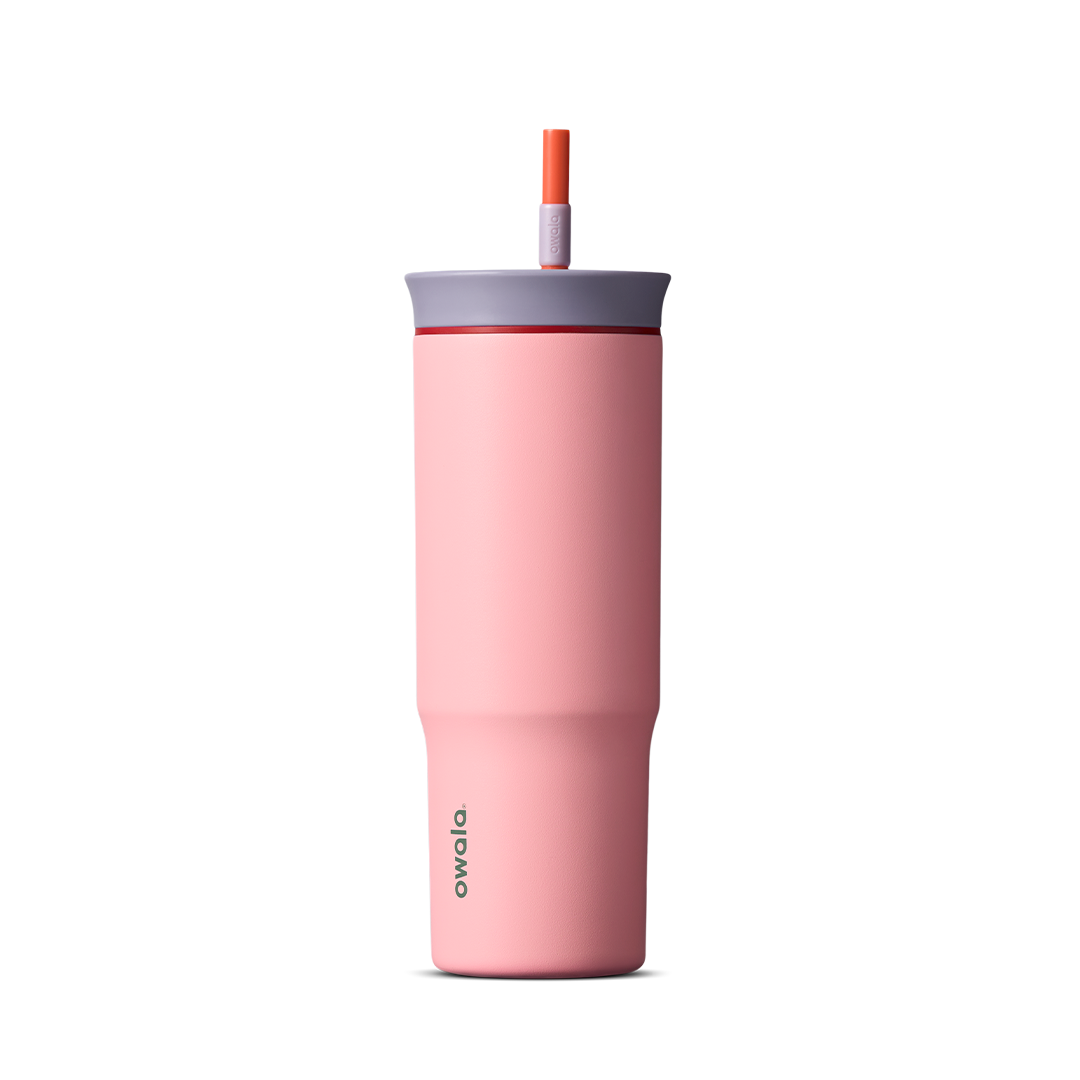 24oz Tumbler - Sugar High · Stainless Steel · 24oz