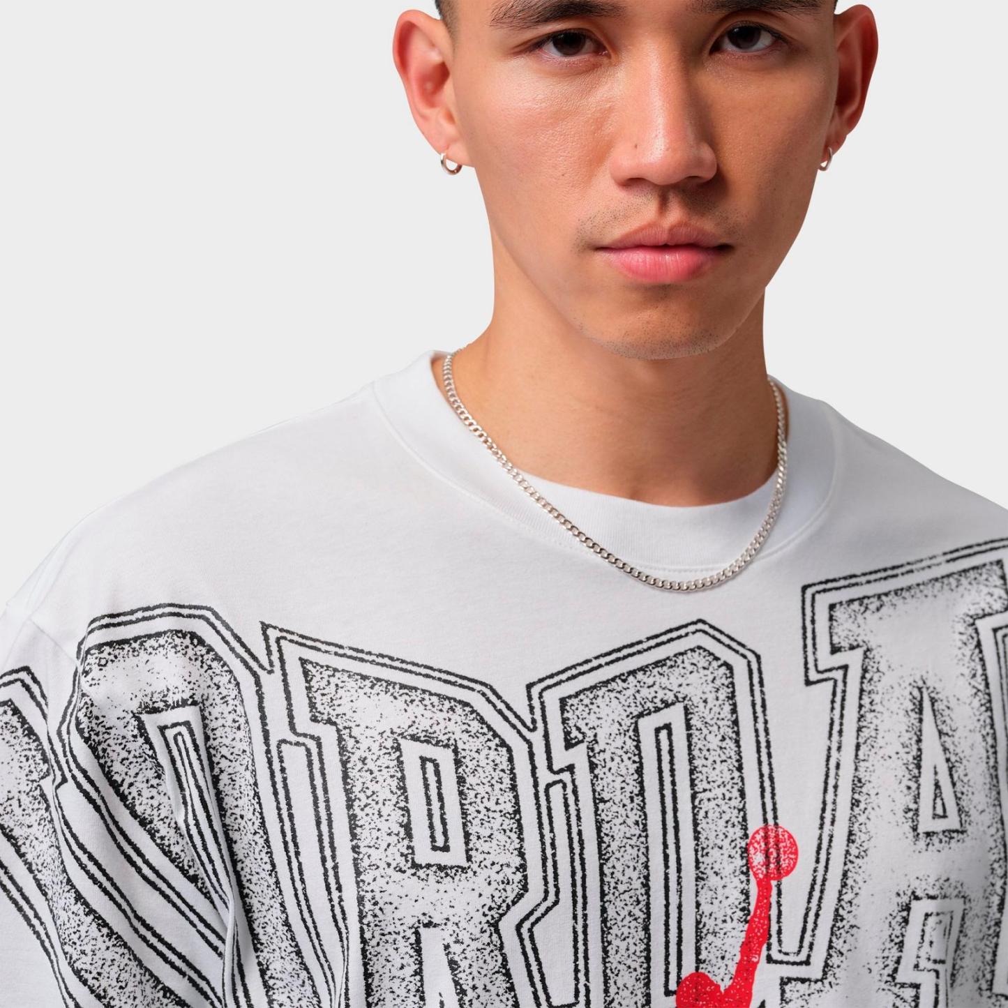 Men's Jordan Stretch Graphic T-Shirt - White - view 4