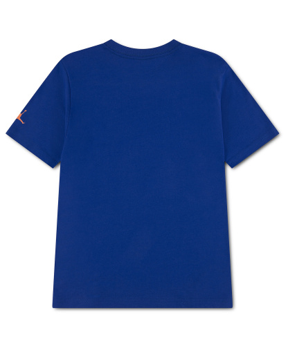 Jordan Boys' 8-20 Jumpman Grid Blur Crewneck T-Shirt - Game Royal