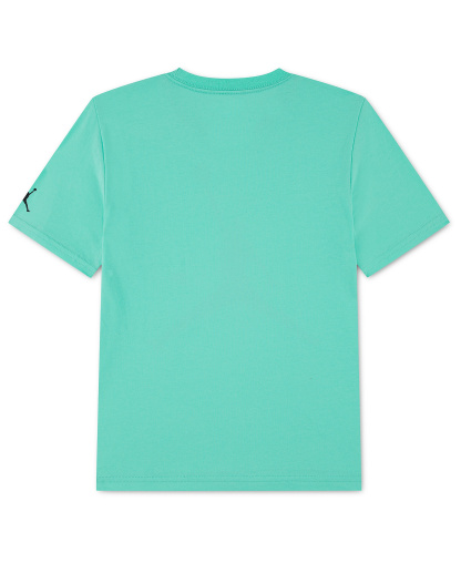 Jordan Boys' 8-20 Jumpman Grid Blur Crewneck T-Shirt - Green Glow
