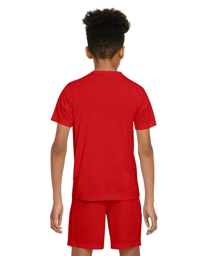 Nike Boys' and Girls' 6-20 Legend Dri-FIT Logo Graphic T-Shirt - Red