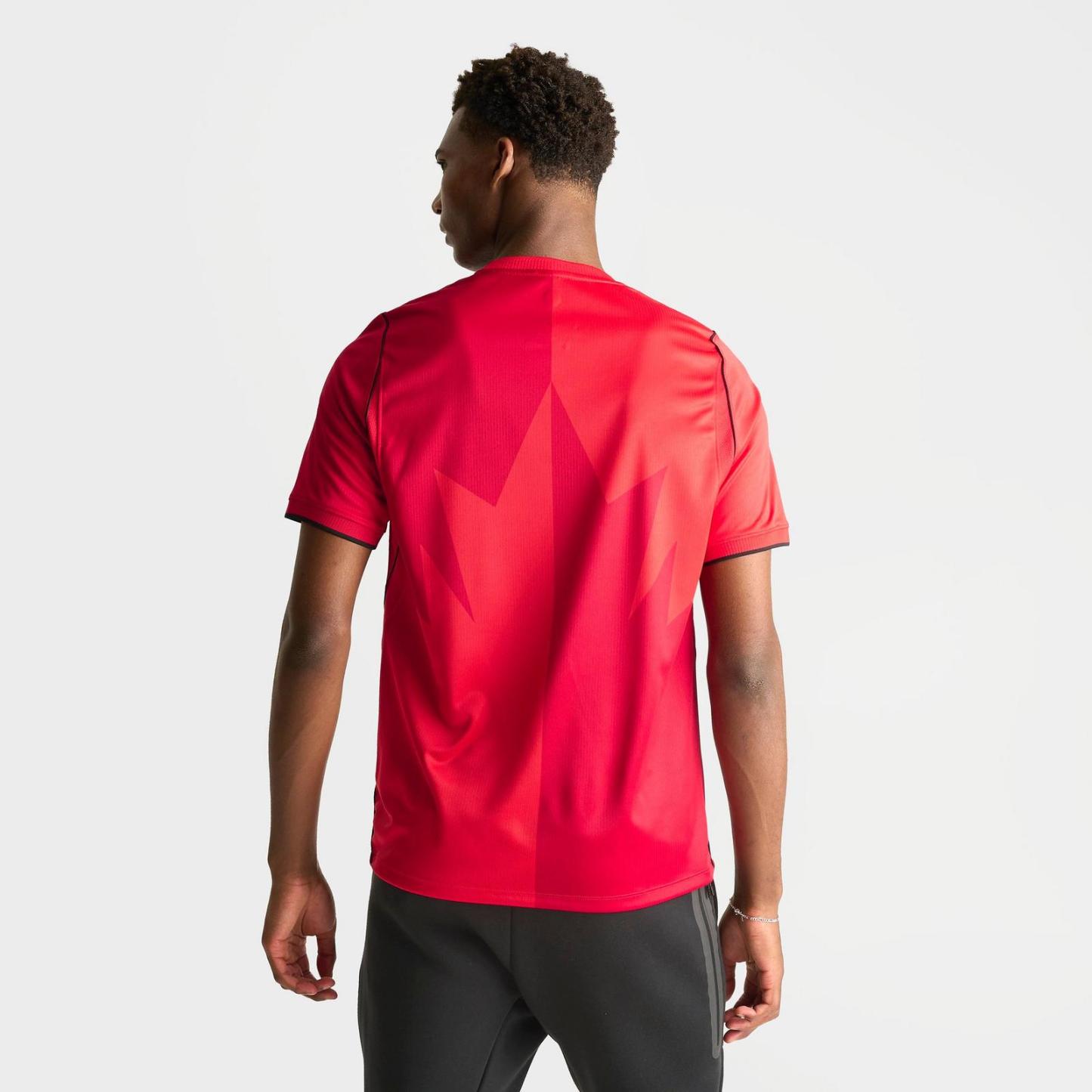 Men's Nike Canada 2026 Stadium Home Dri-FIT Replica Soccer Jersey - Red