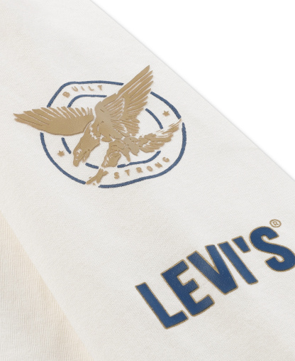 Levi's Boys' 8-20 Collegiate Icons Long-Sleeve T-Shirt - Levi's Egret