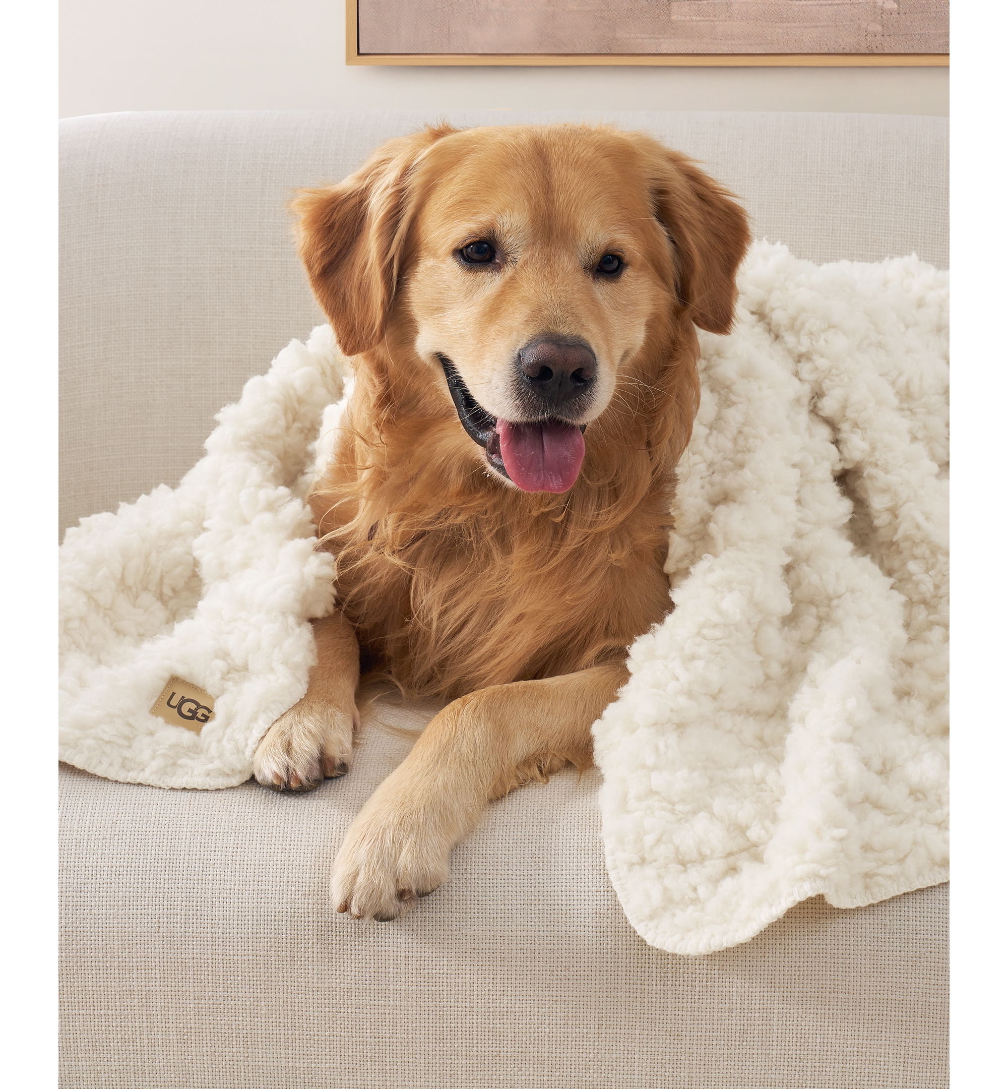 UGG® Shira Pet Throw, 50" x 40" - Snow