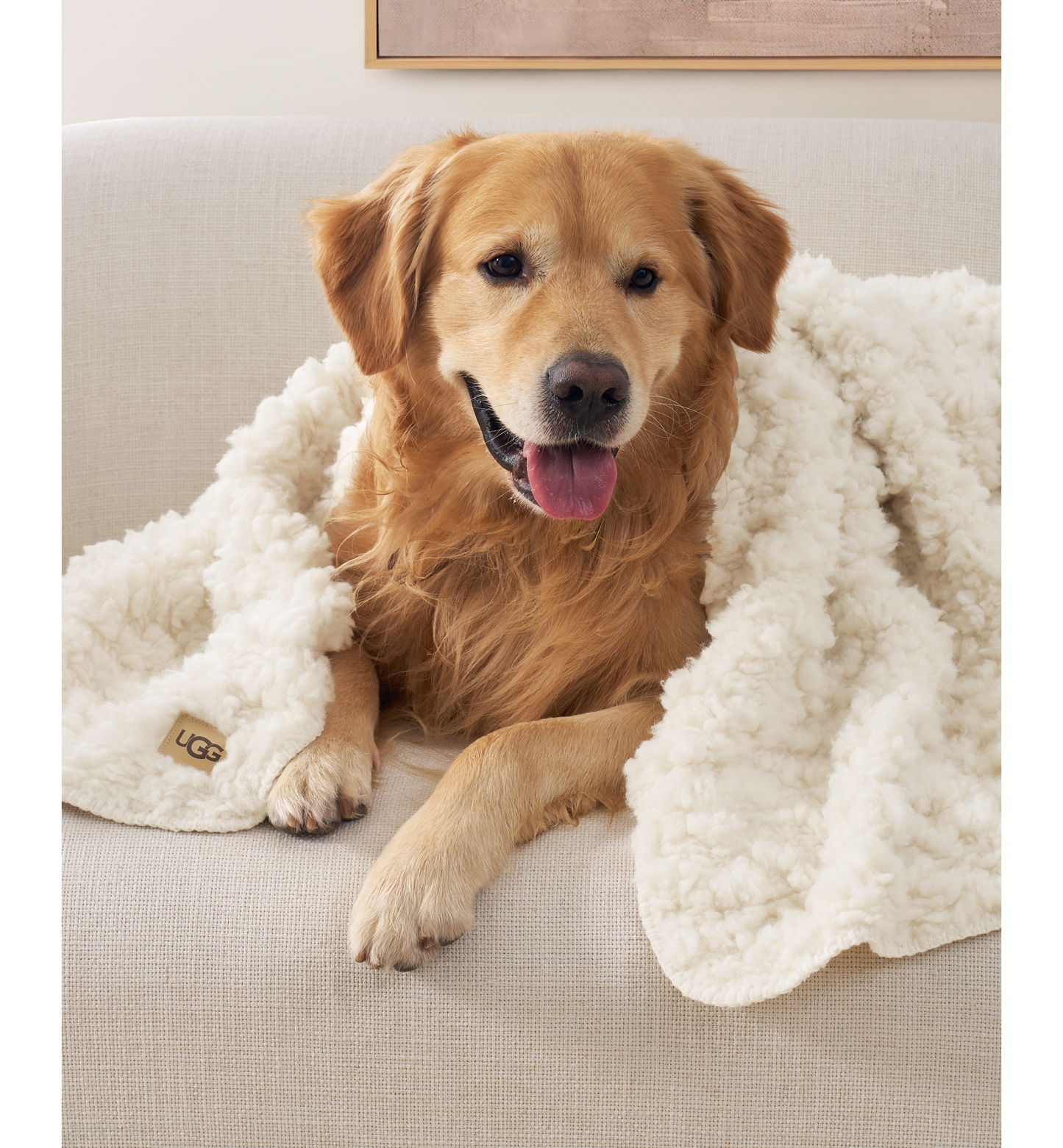 UGG® Shira Pet Throw, 50" x 40" - Snow