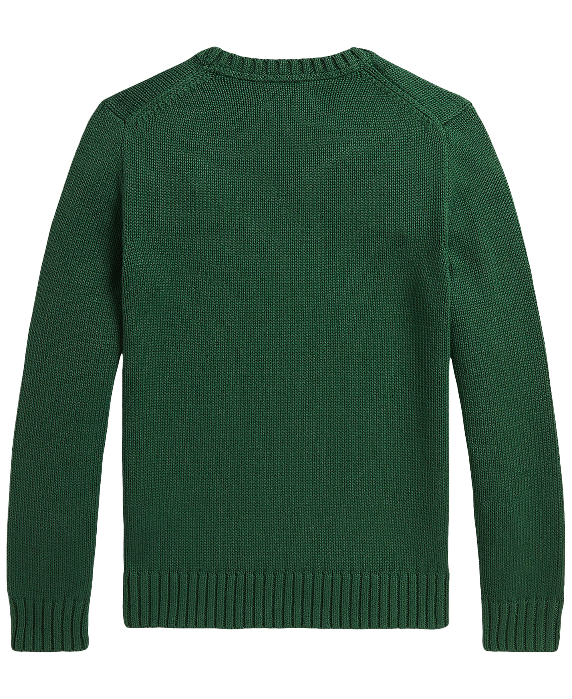Polo Ralph Lauren Boys' 8-20 Cotton Crewneck Sweater - Verano Green