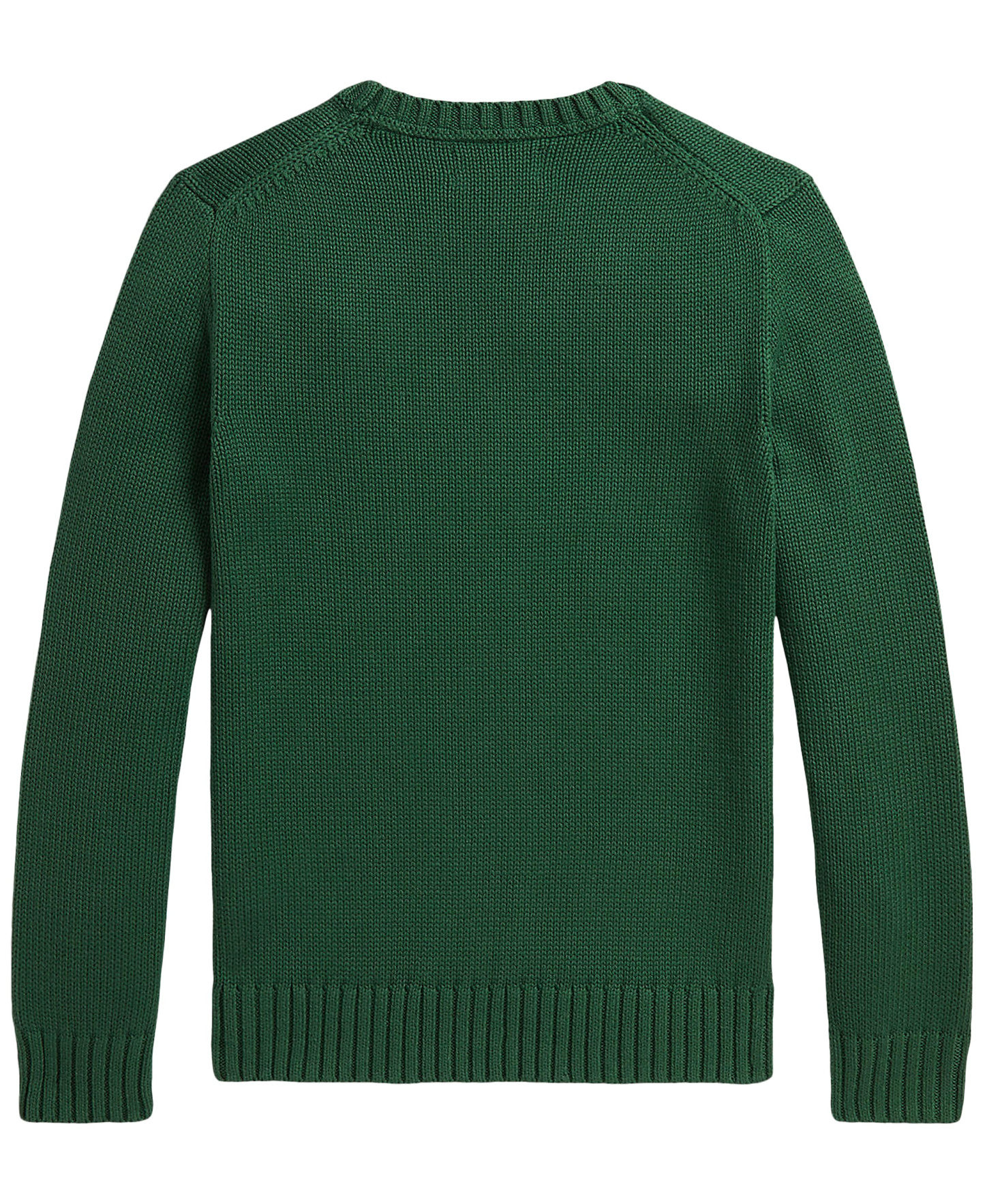 Polo Ralph Lauren Boys' 8-20 Cotton Crewneck Sweater - Verano Green