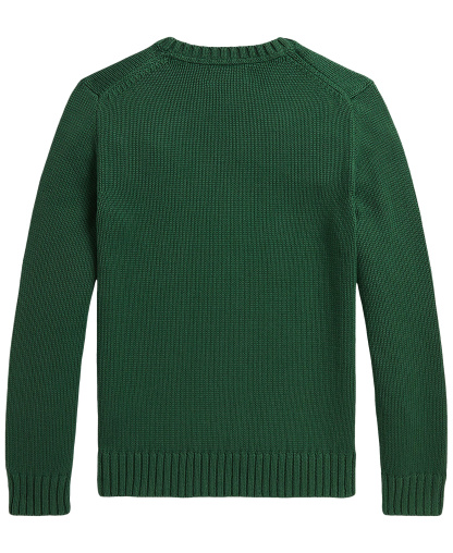 Polo Ralph Lauren Boys' 8-20 Cotton Crewneck Sweater - Verano Green
