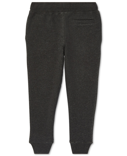 Polo Ralph Lauren Boys' 2T-7 Cotton Fleece Joggers - Avery Heather