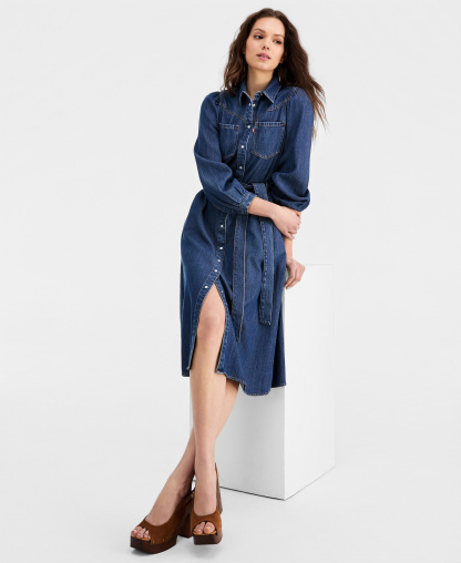 Levi's Premium Women's Point Collar Long-Sleeve Dress - Celestial