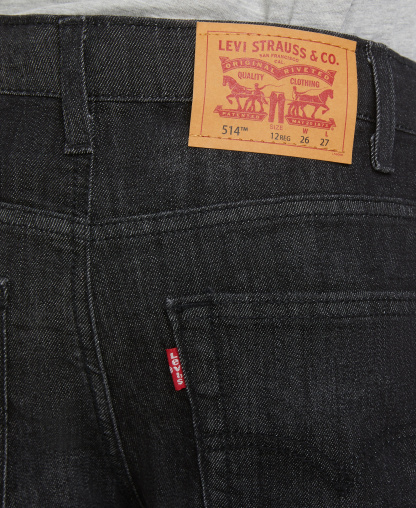 Levi's Boys' 8-20 514 Straight Fit Stretch Performance Jeans - Steady Rocky