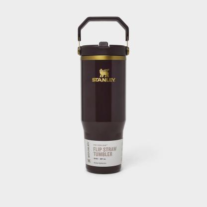 Stanley IceFlow Flip Straw Tumbler (30 oz.) - Fig Gloss