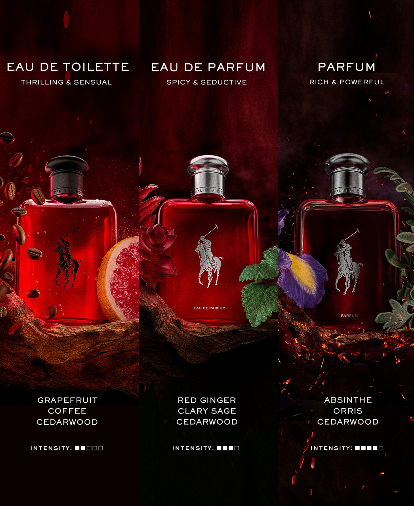 Ralph Lauren Polo Red Eau de Toilette Spray, 6.7 oz - No Color