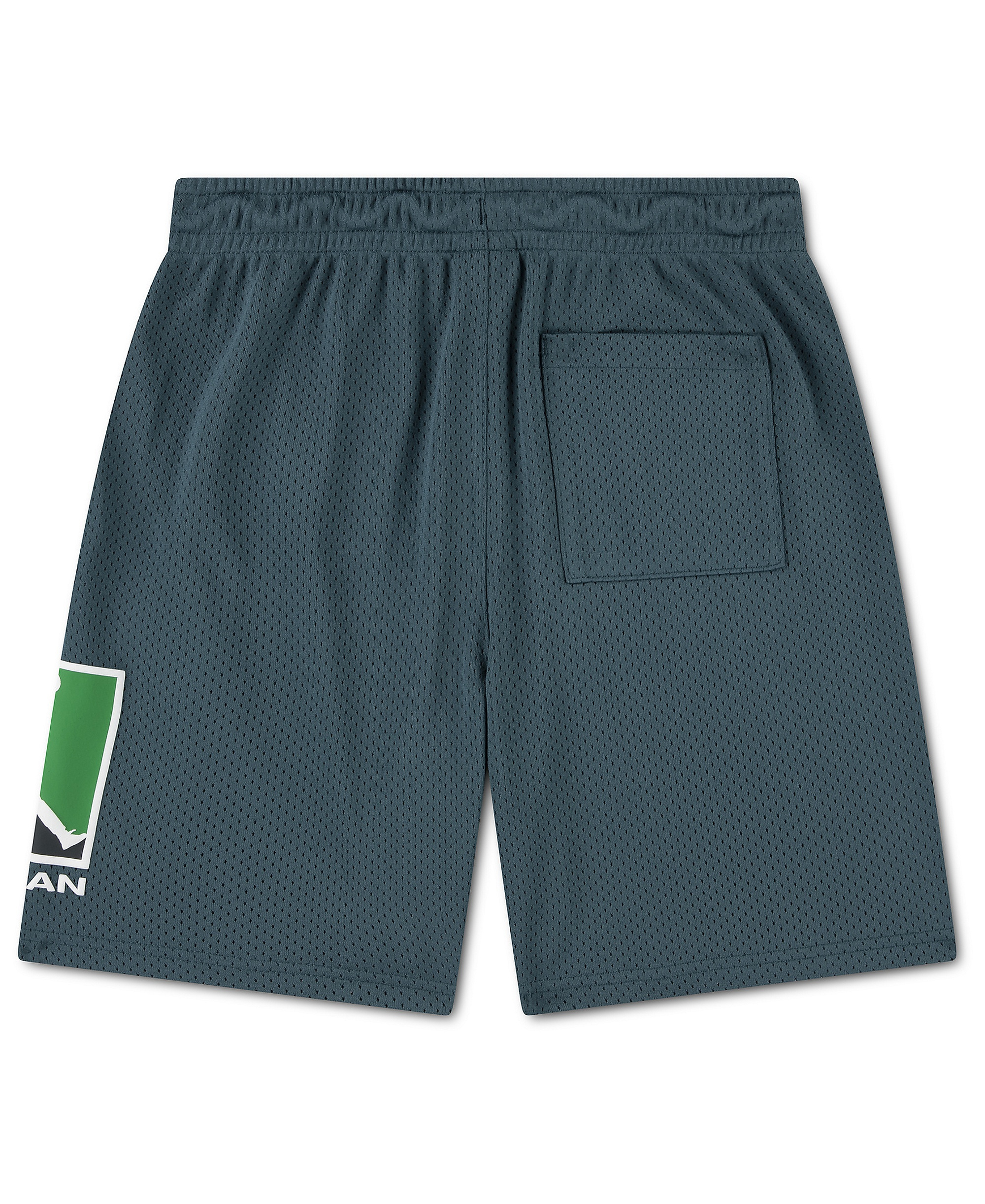 Jordan Boys' 8-20 Pull-On Mesh Shorts - Ash Green