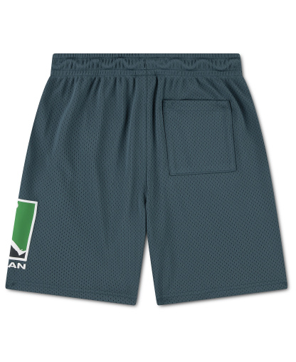 Jordan Boys' 8-20 Pull-On Mesh Shorts - Ash Green