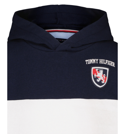 Tommy Hilfiger Boys' 8-20 Color-Blocked Logo Hoodie - Navy Blazer