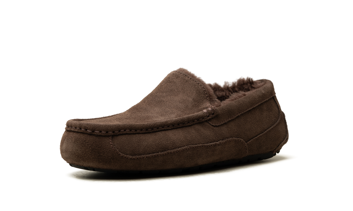 Ascot Slipper "Dusted Cocoa" 1101110 DDC - view 4