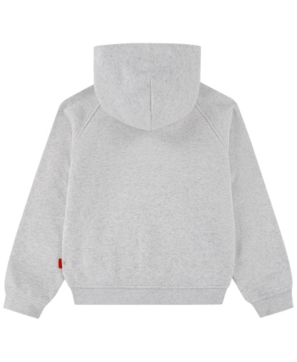 Jordan Boys' 8-20 Brooklyn Long-Sleeve Hoodie - Neutral Gray Heather