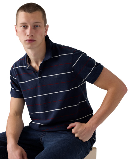 Levi's Premium Men's Original Classic Polo Shirt - Stripe Navy
