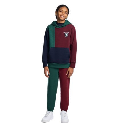 Tommy Hilfiger Boys' 8-20 Griffin Badge Colorblock Kangaroo Pocket Pullover Hoodie - June Bug