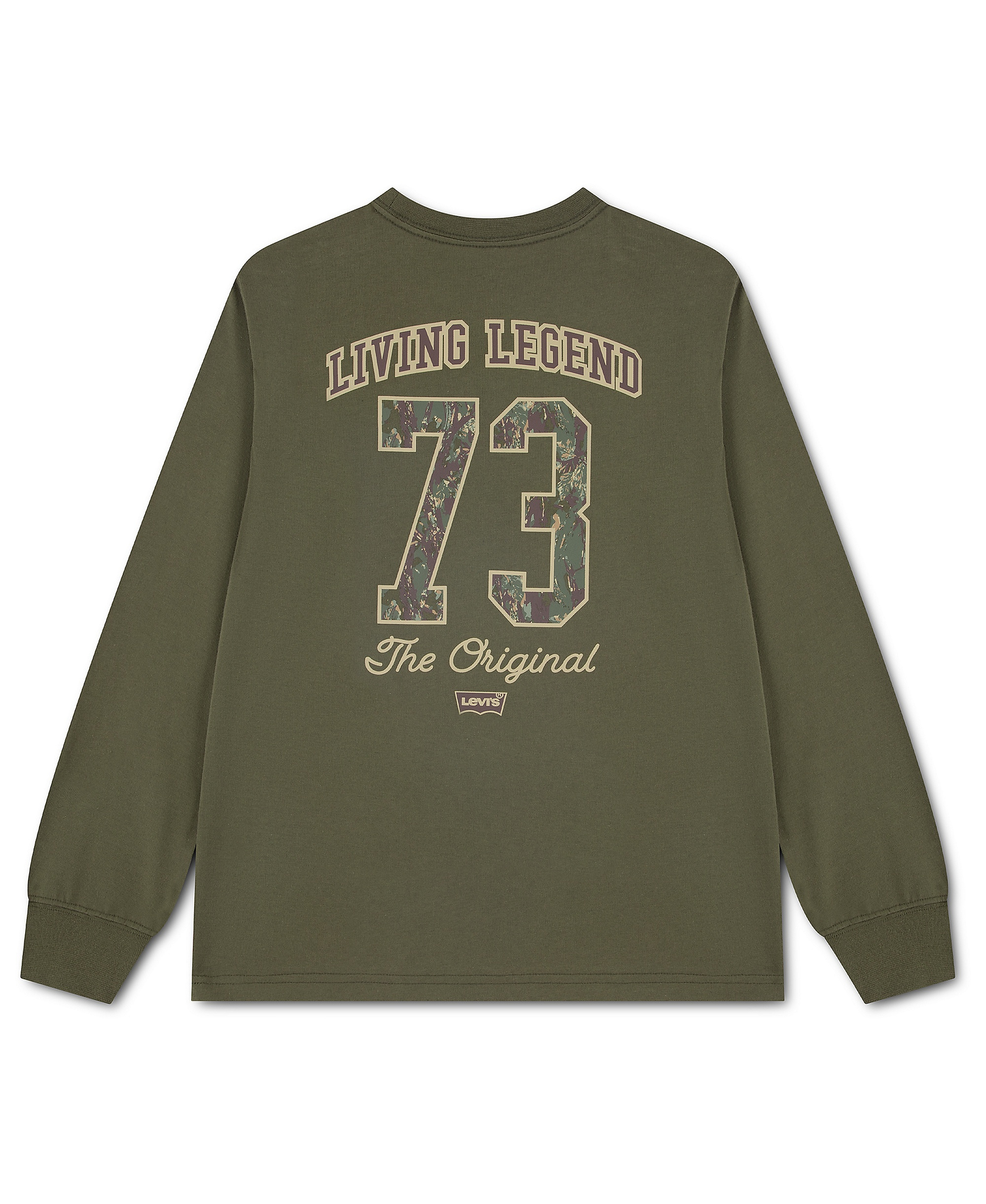 Levi's Boys' 8-20 In the Woods Long-Sleeve T-Shirt - Olive Night