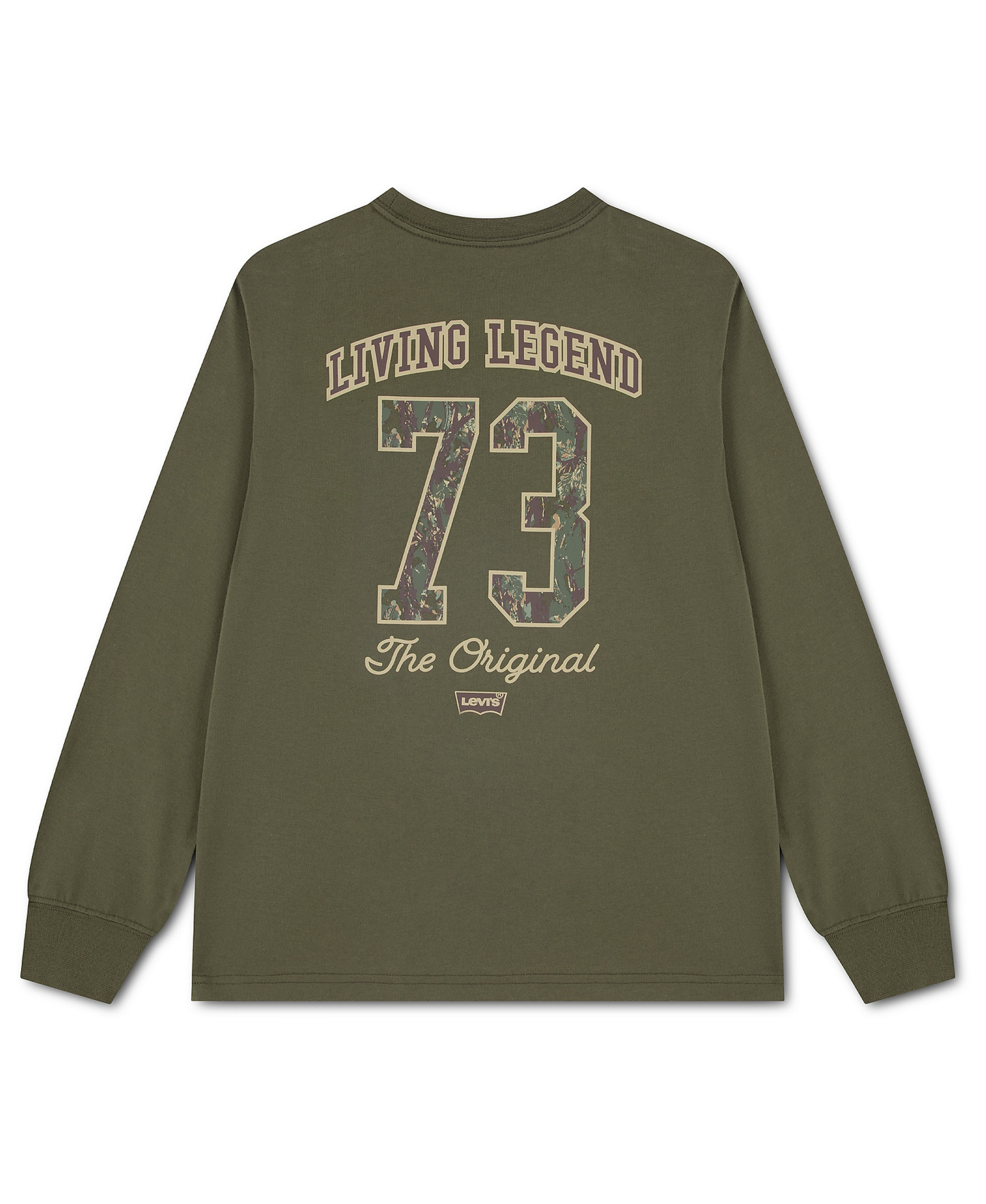 Levi's Boys' 8-20 In the Woods Long-Sleeve T-Shirt - Olive Night