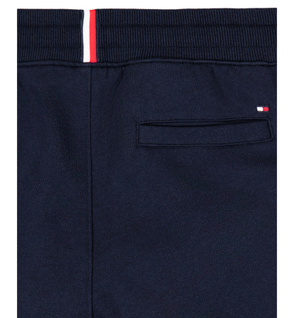 Tommy Hilfiger Boys' 8-20 Logo Knit Jogger Pants - Navy Blazer