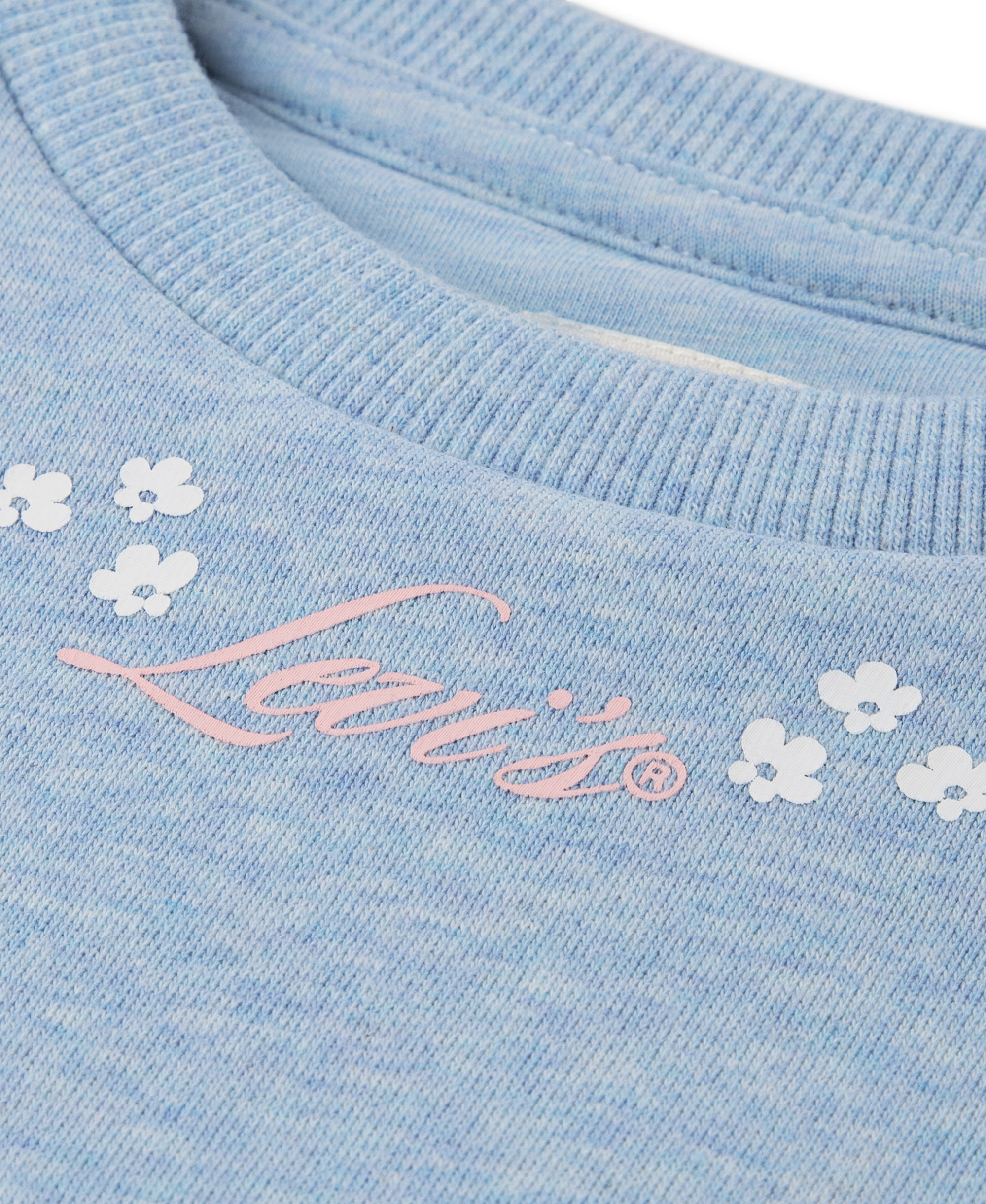 Levi's Girls' 2T-6X Ruffled Crewneck Sweatshirt and Jogger Pants, 2-Piece Set - Levi's Skyway Heather