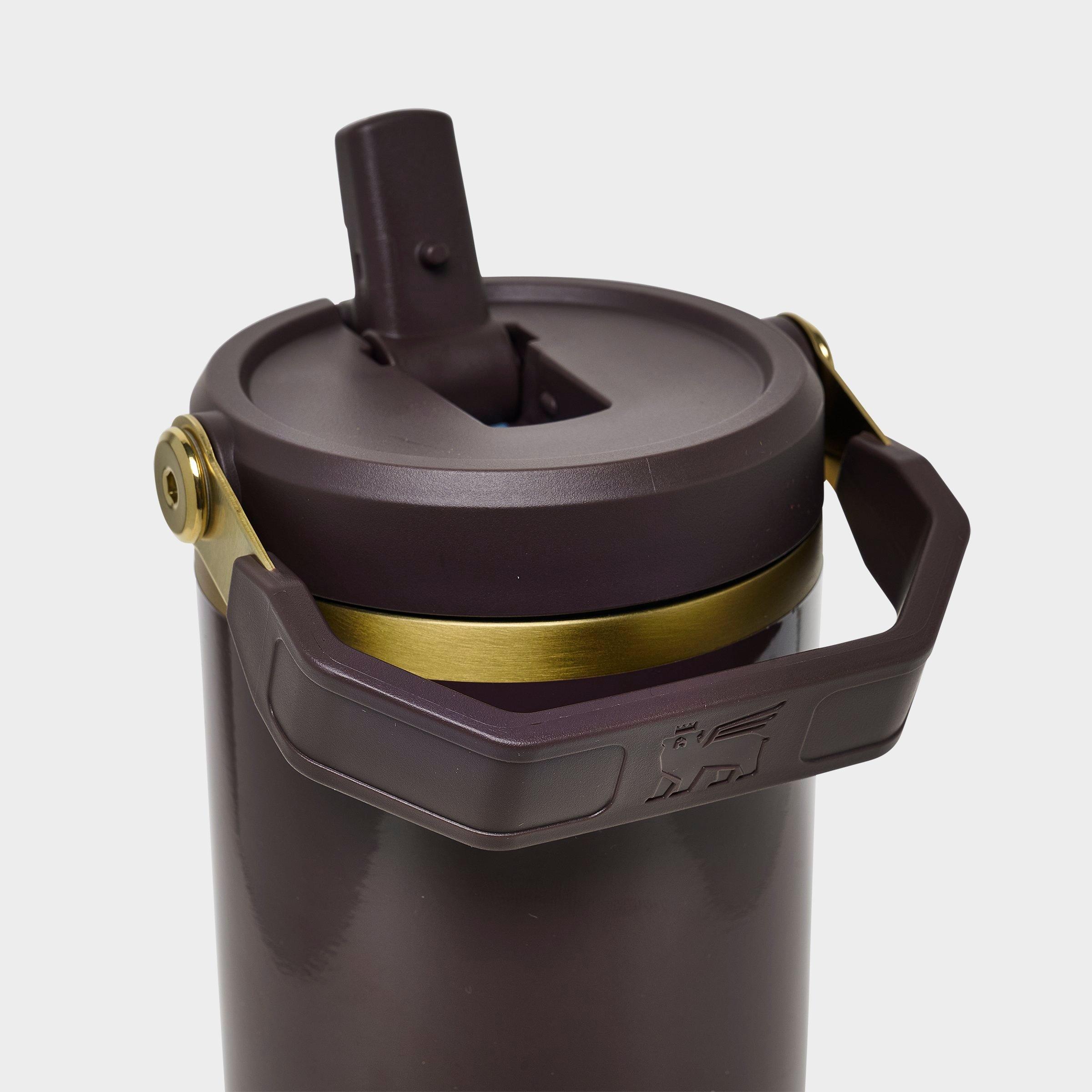 Stanley IceFlow Flip Straw Tumbler (30 oz.) - Fig Gloss