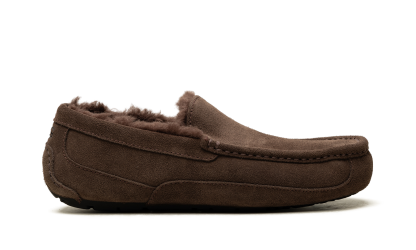 Ascot Slipper "Dusted Cocoa" 1101110 DDC - view 6