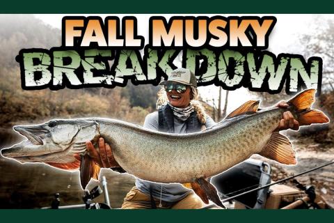 Fall Musky Breakdown- Kristine Fisher holding a Muskie