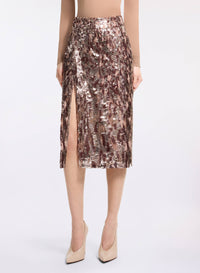 Sequin Embroidered Skirt