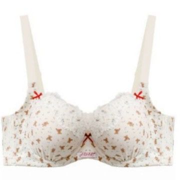 French Floral Lace Push-Up Bra – Small Bust Support, Anti-Sag Lift | Thin Soft Cups with Adjustable Straps for Everyday Comfort