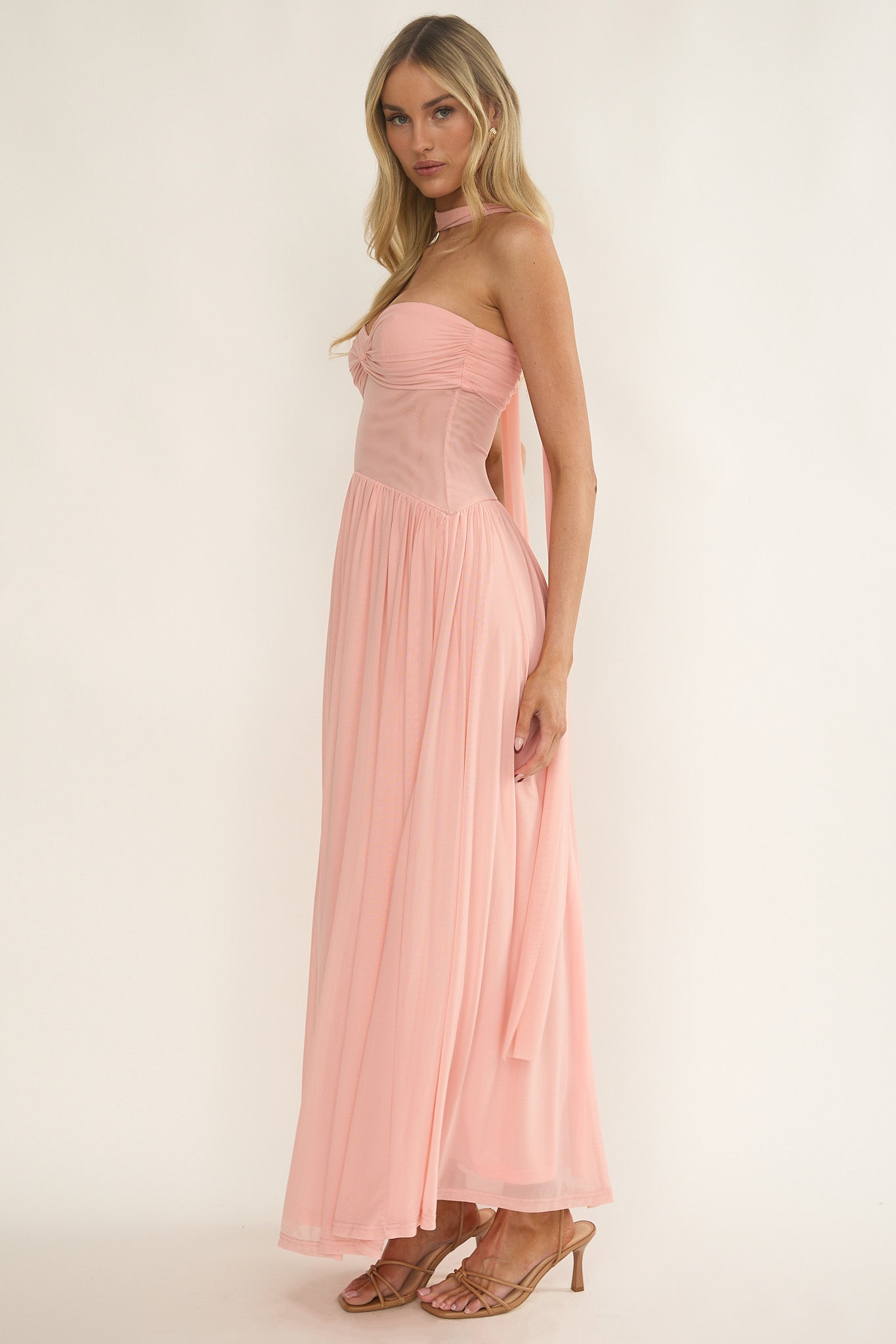 Annita Sheer Waist Maxi Dress Blush-Fable Dress