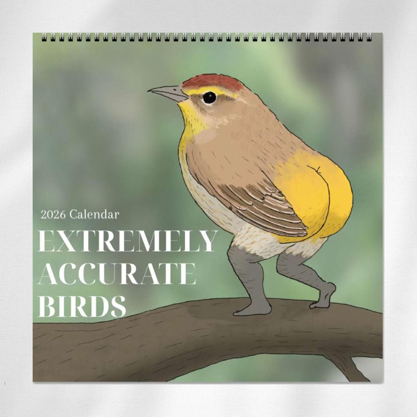 📅Extremely Accurate Birds 2026 Wall Calendar, Gag Gifts for the Bird Love, Secret Santa
