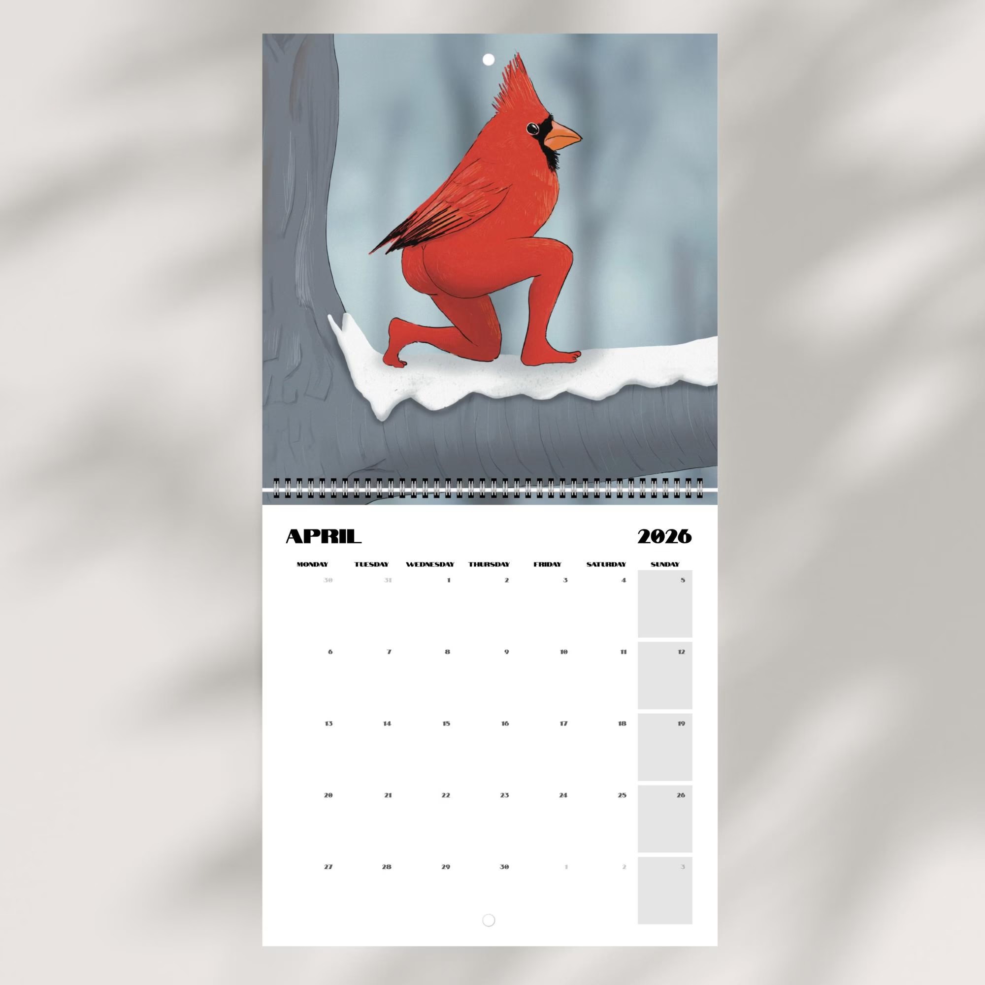 📅Extremely Accurate Birds 2026 Wall Calendar, Gag Gifts for the Bird Love, Secret Santa