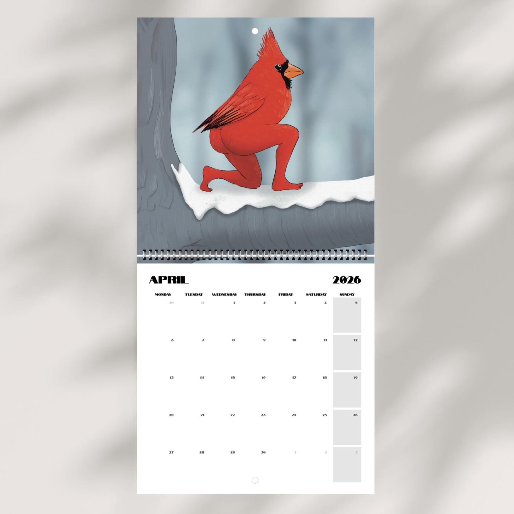 📅Extremely Accurate Birds 2026 Wall Calendar, Gag Gifts for the Bird Love, Secret Santa