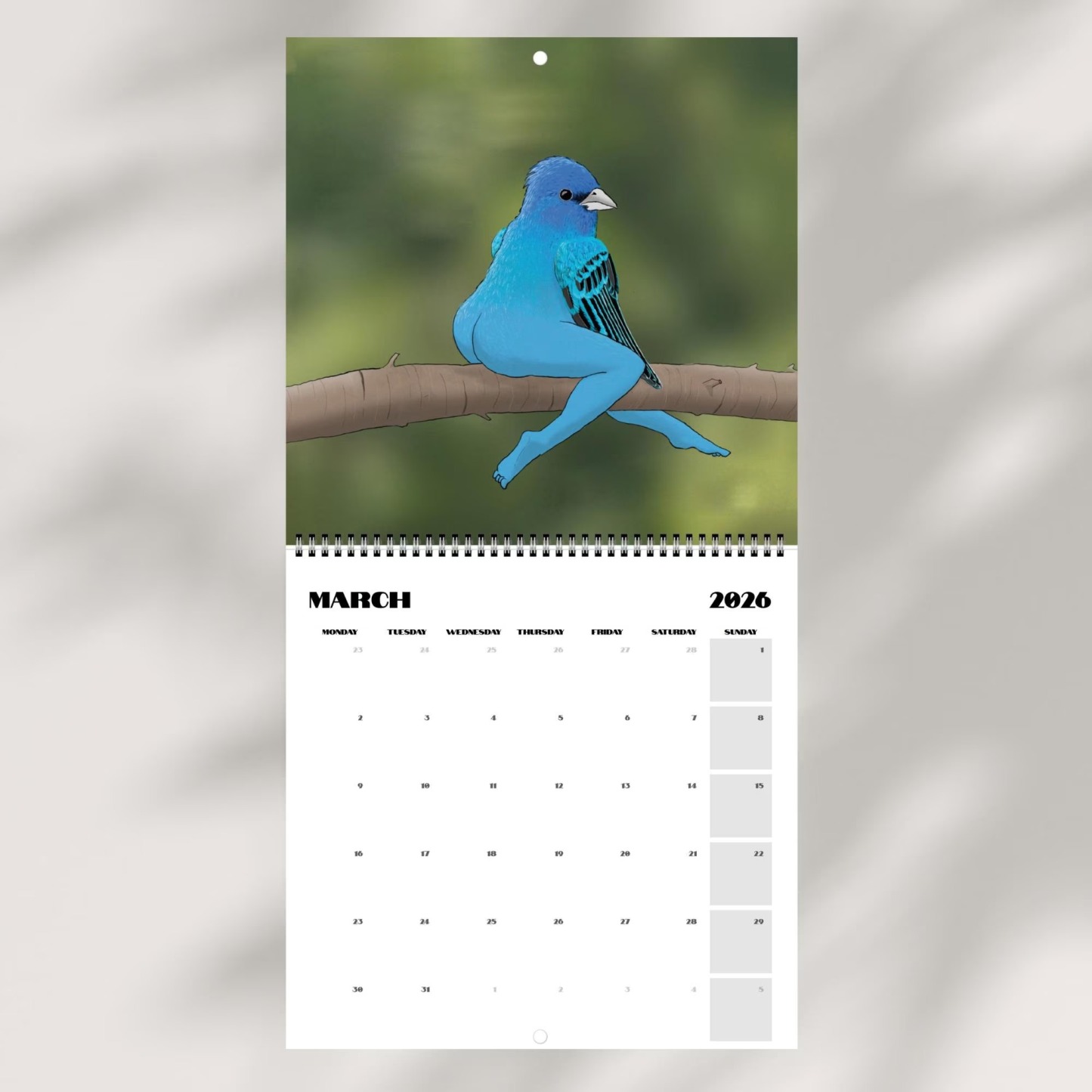 📅Extremely Accurate Birds 2026 Wall Calendar, Gag Gifts for the Bird Love, Secret Santa