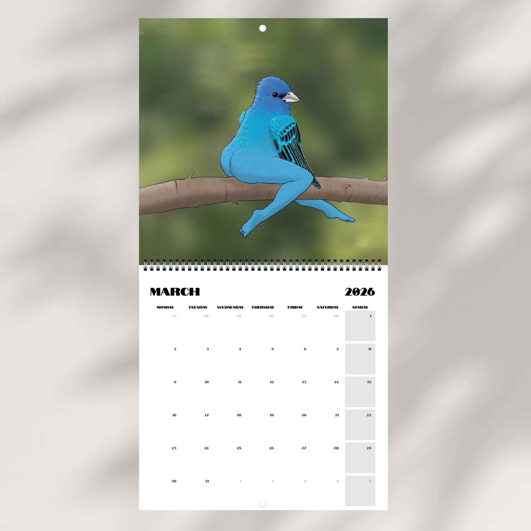 📅Extremely Accurate Birds 2026 Wall Calendar, Gag Gifts for the Bird Love, Secret Santa