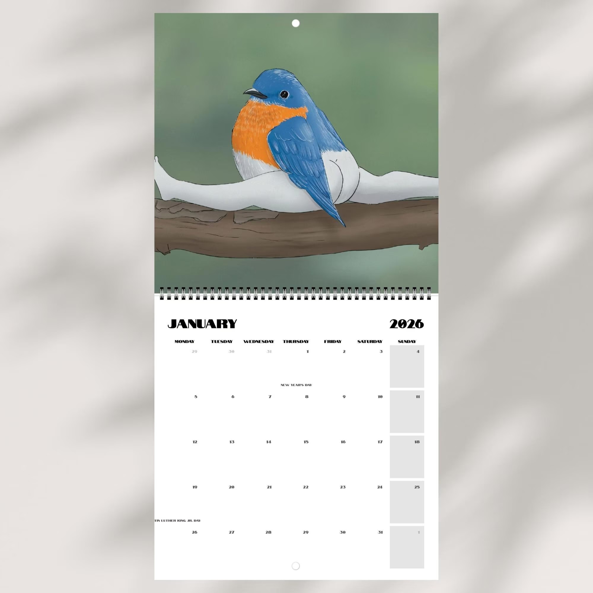 📅Extremely Accurate Birds 2026 Wall Calendar, Gag Gifts for the Bird Love, Secret Santa