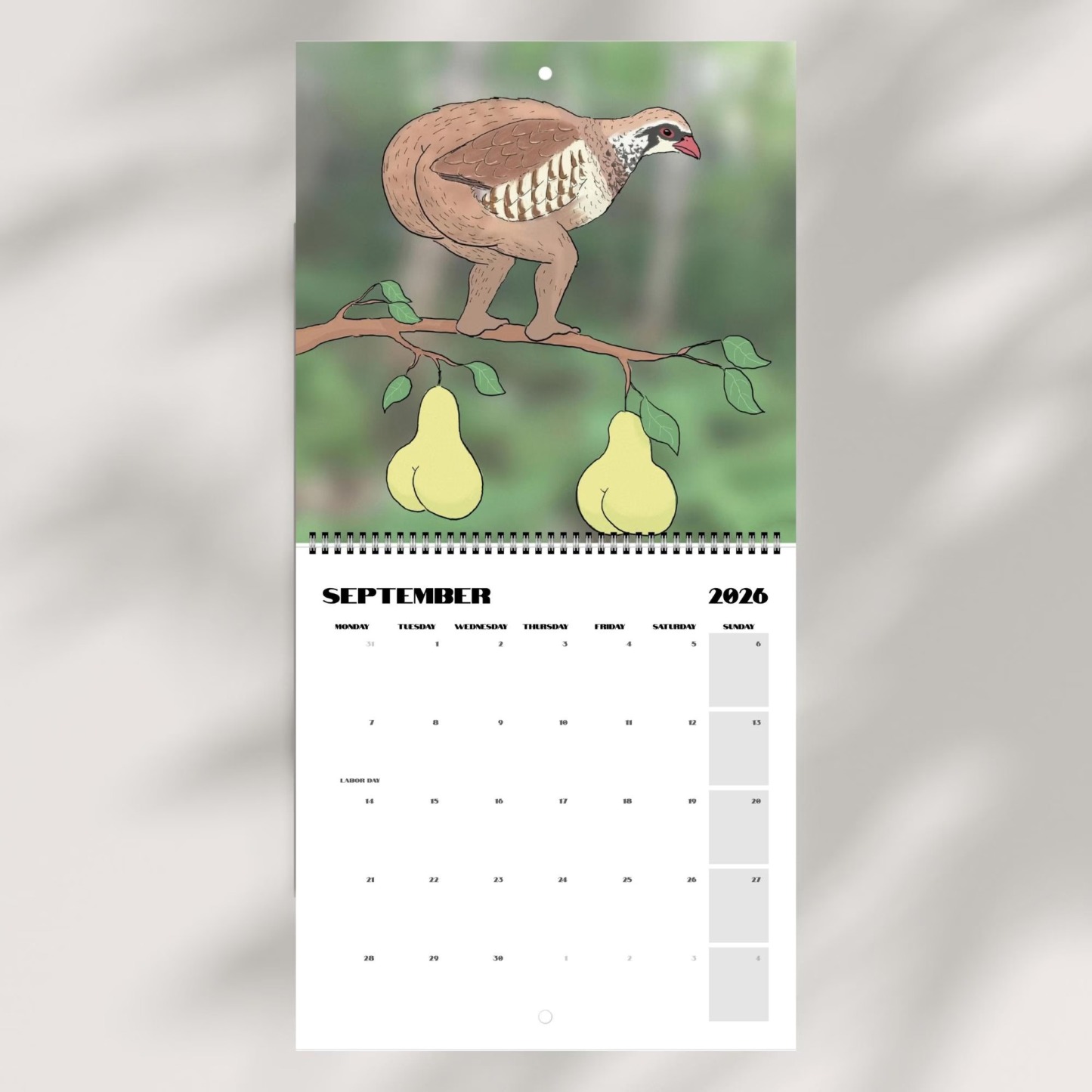 📅Extremely Accurate Birds 2026 Wall Calendar, Gag Gifts for the Bird Love, Secret Santa