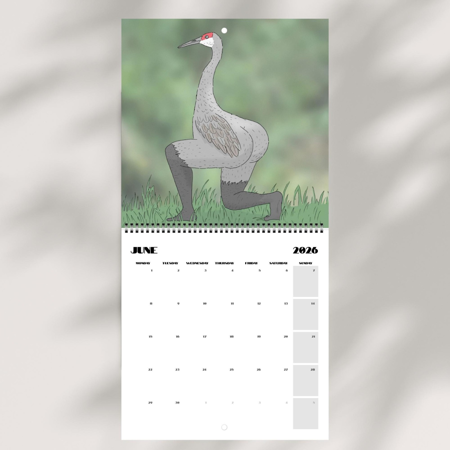 📅Extremely Accurate Birds 2026 Wall Calendar, Gag Gifts for the Bird Love, Secret Santa