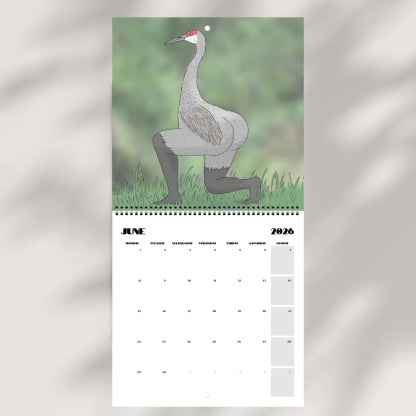 📅Extremely Accurate Birds 2026 Wall Calendar, Gag Gifts for the Bird Love, Secret Santa