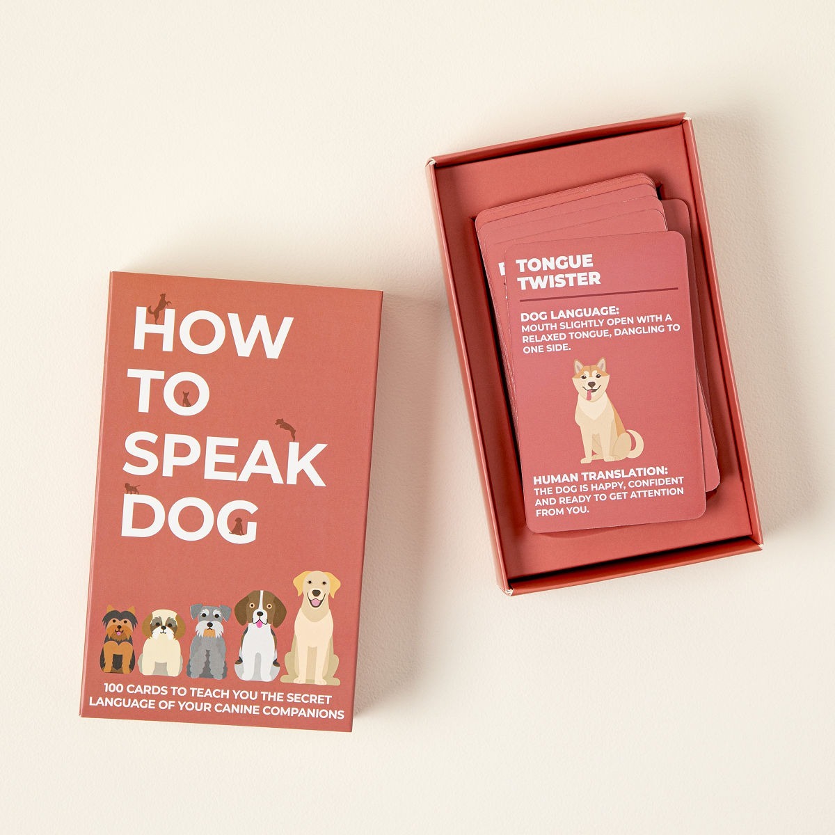 🐾 “Speak Cat™ – The Secret Language Deck”